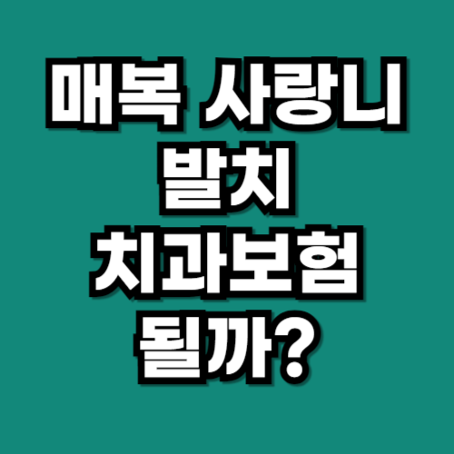 매복 사랑니 발치 치과보험