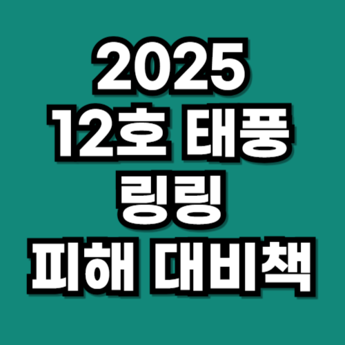 12호 태풍 링링 피해 대비 풍수해보험·재난지원금·보상 안내
