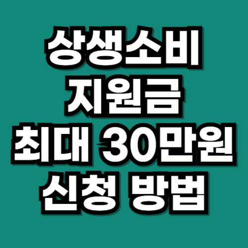상생소비지원금 신청 총정리