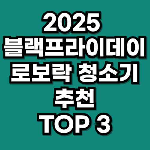 2025 블랙프라이데이 로보락 청소기 할인 추천 TOP 3