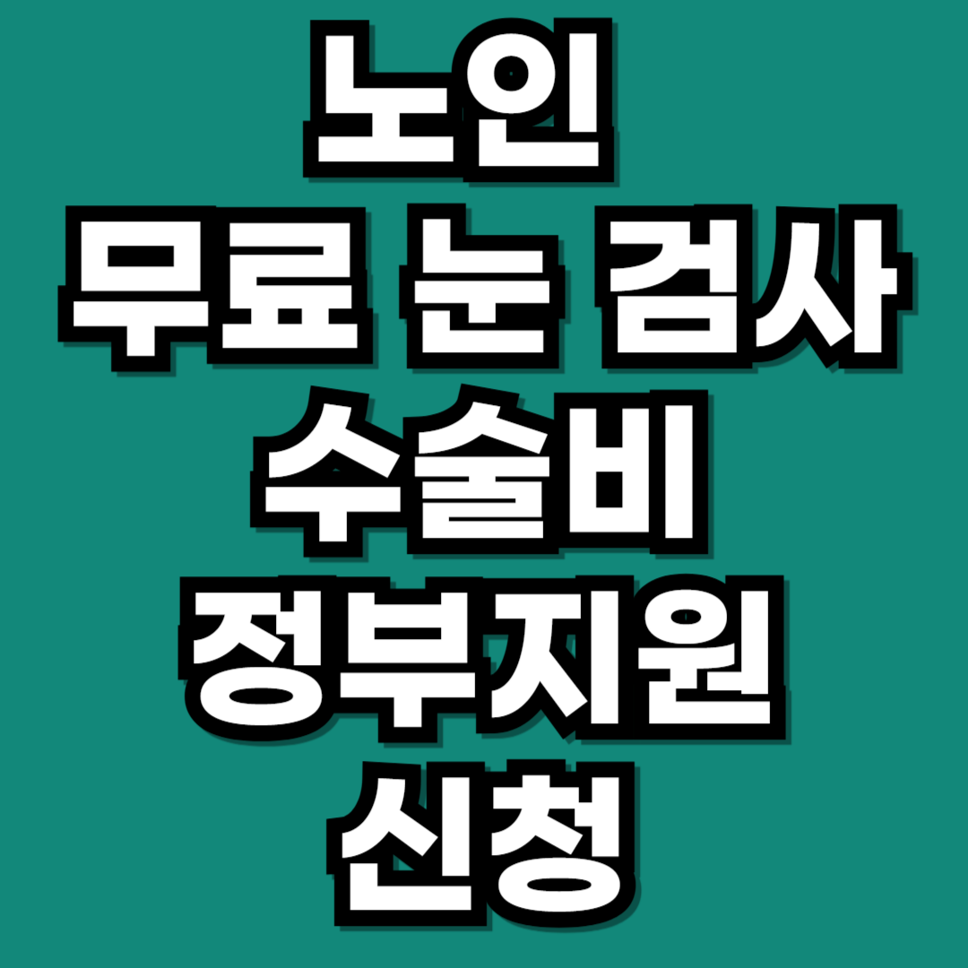 정부 지원 어르신 무료 눈 검사 백내장 녹내장